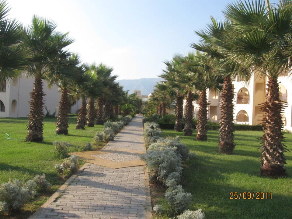 Der Weg vom Strand Delfina Tropic Beach