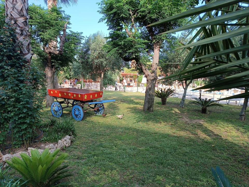 Gartenanlage Seaden Sea World Resort & Spa