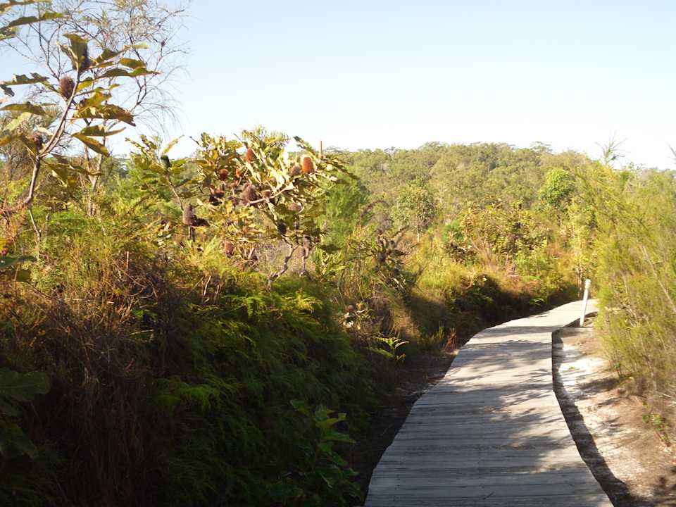 Gartenanlage Mercure Kingfisher Bay Resort Fraser Island
