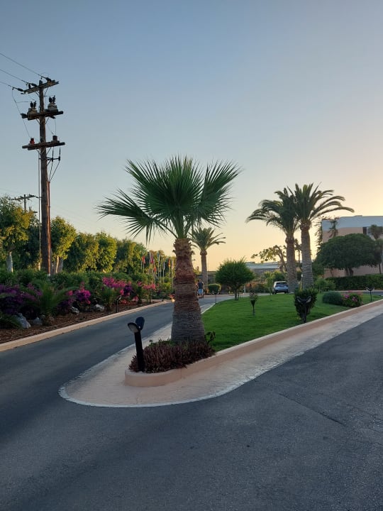 Gartenanlage Anissa Beach & Village