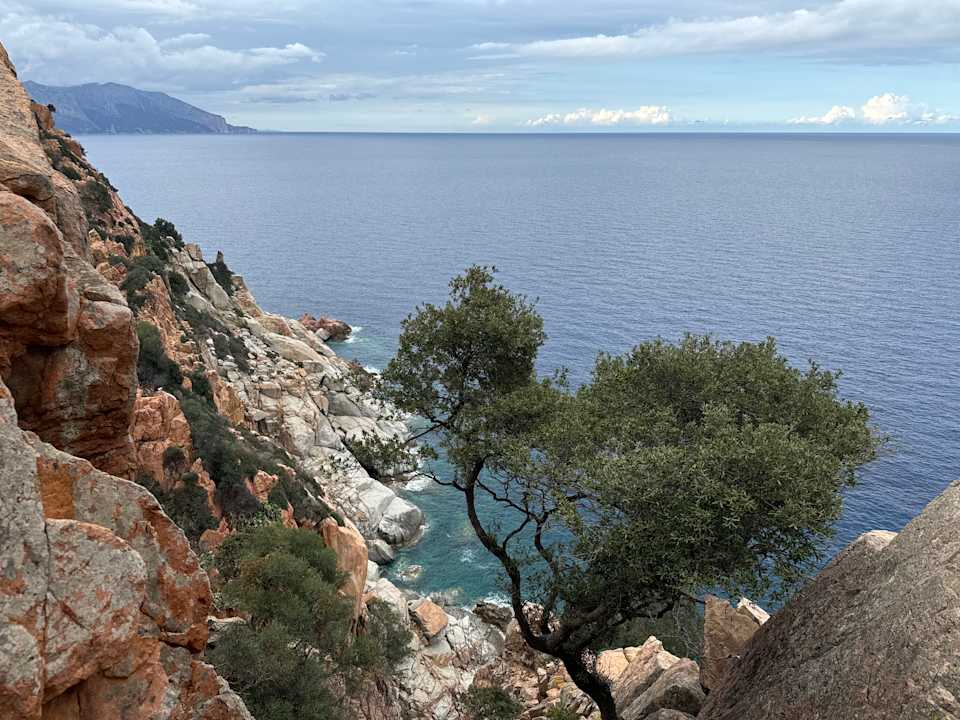 Gartenanlage Arbatax Park Resort - Ville del Parco