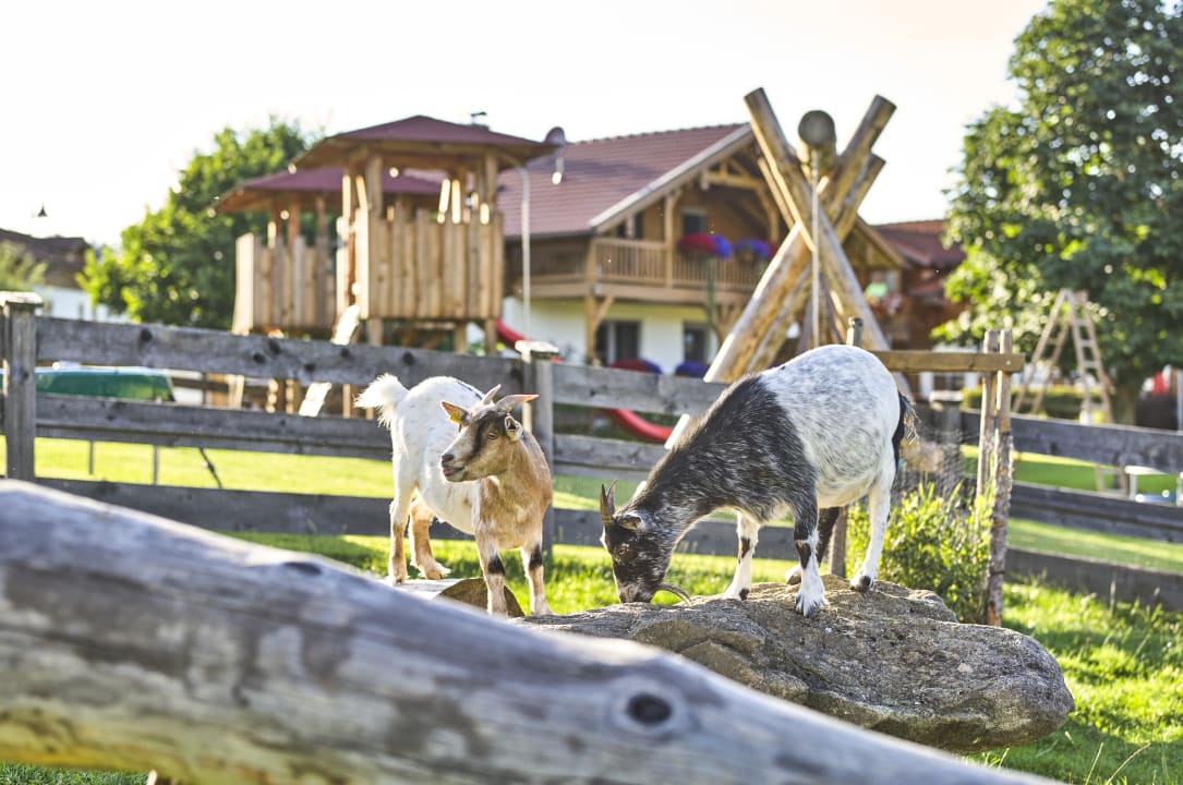Außenansicht Familienferienhof Wenighof