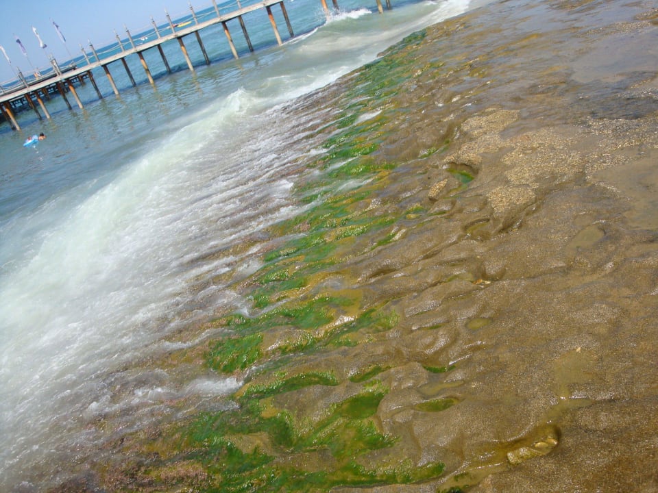 Hotel Strand Dizalya Palm Garden