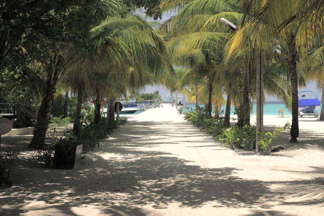 jetty Kuredu Island Resort & Spa