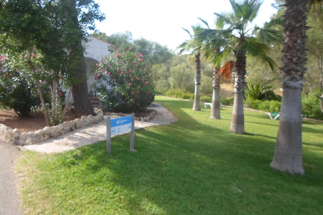 Weitläufig und schön Iberostar Waves Cala Domingos