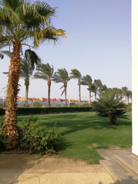 Gartenanlage Palm Royale Resort - Soma Bay