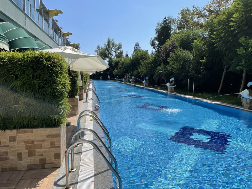 Pool Hotel Delphin Imperial