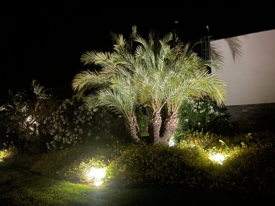 Gartenanlage ROBINSON QUINTA DA RIA