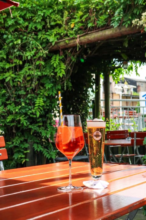 Gartenanlage Moselstern Hotel Brixiade & Triton