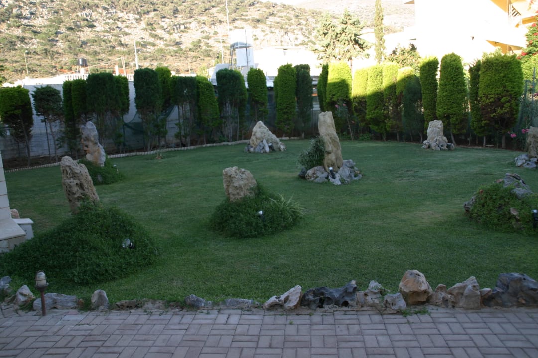 Ziergarten Cactus Royal