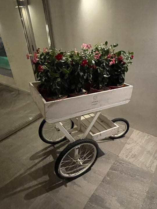 Sonstiges Hotel Playa Golf