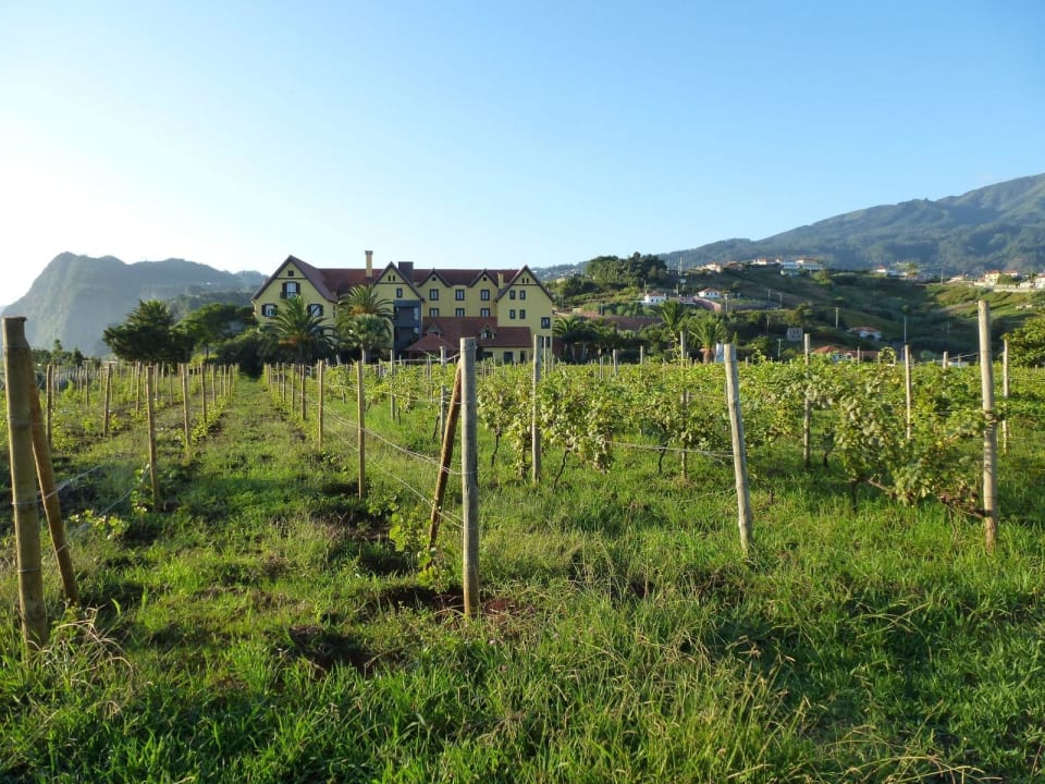 Weingarten an der Quinta Hotel Quinta do Furao