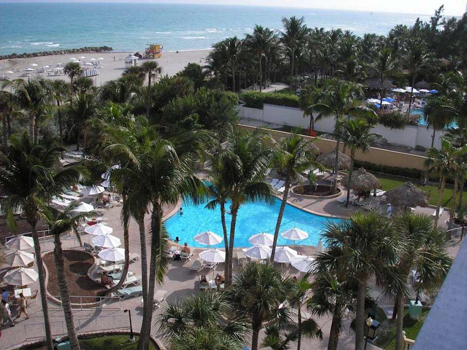 Blick auf den Pool und Gartenanlage Hotel Riu Plaza Miami Beach