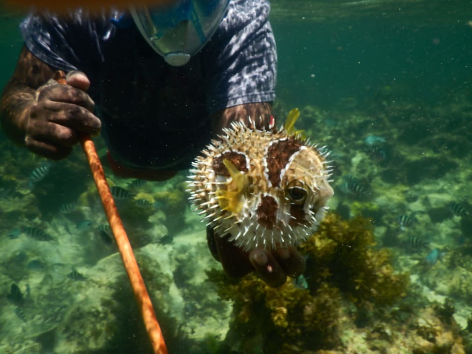 Sport & Freizeit Diani Sea Resort