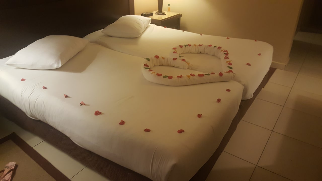 Zimmer Jaz Dar EL Madina