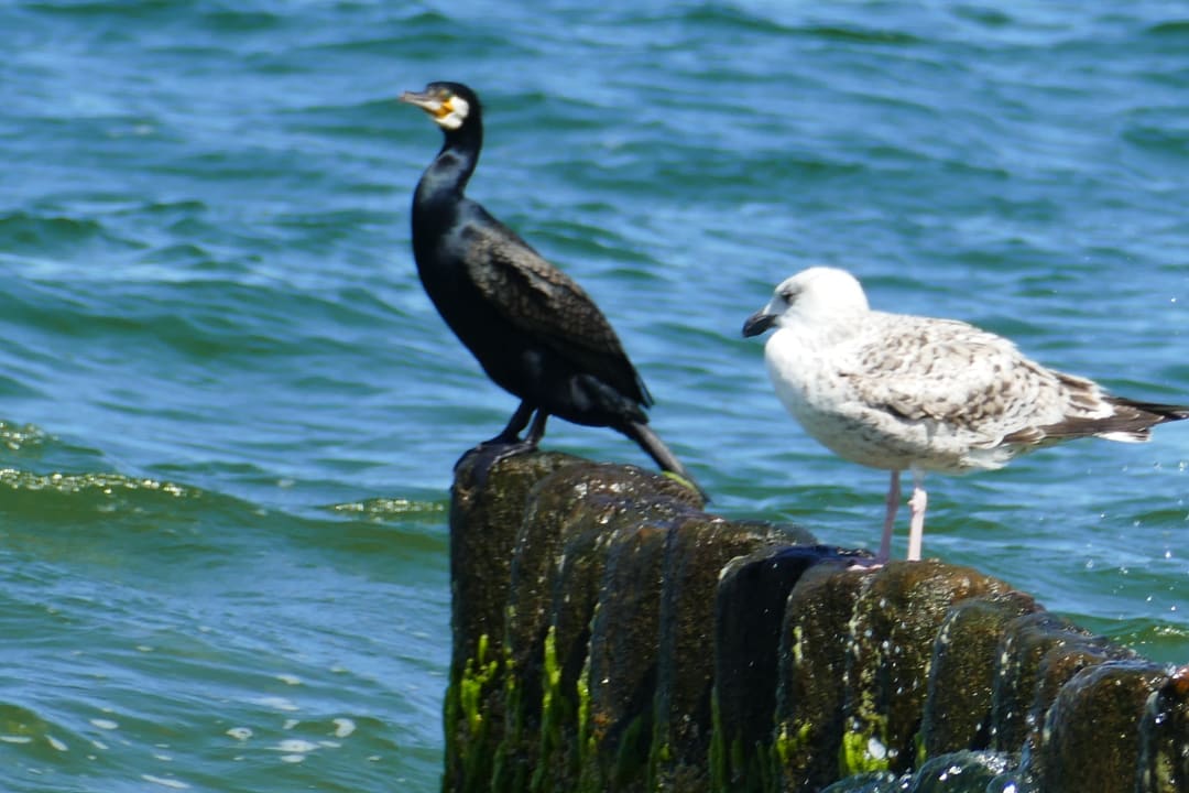 Strand Hotel Aurora Family & SPA