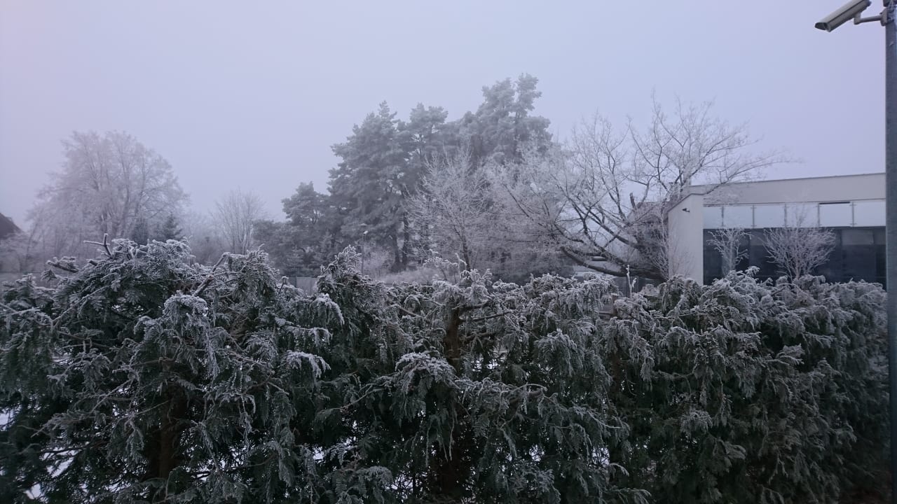 Außenansicht Resort Ośrodek Wczasowo Kolonijny Korona