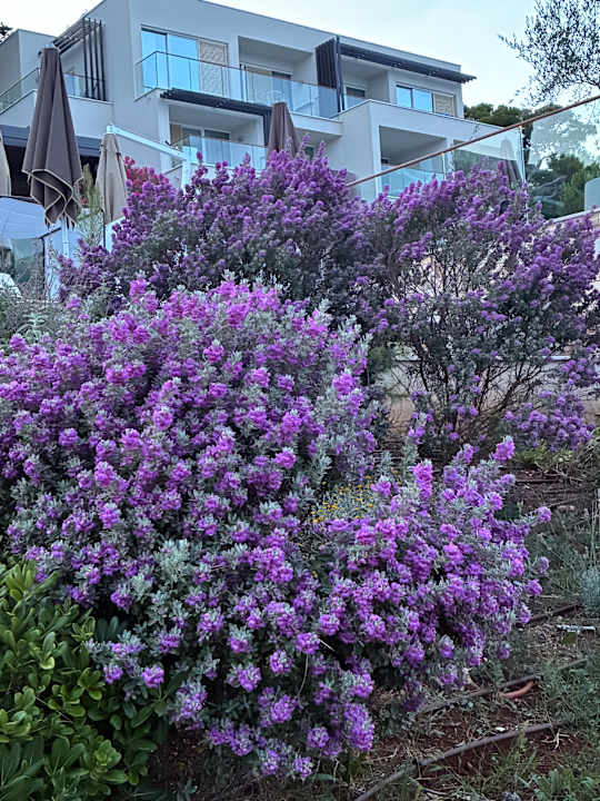 Gartenanlage Valamar Sanfior Hotel & Casa