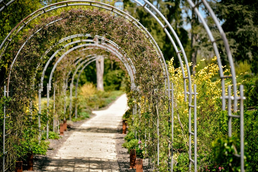 Gartenanlage Mondorf Parc Hotel