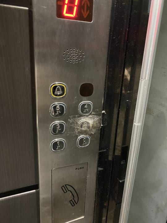 Zimmer Butterfly Hotel