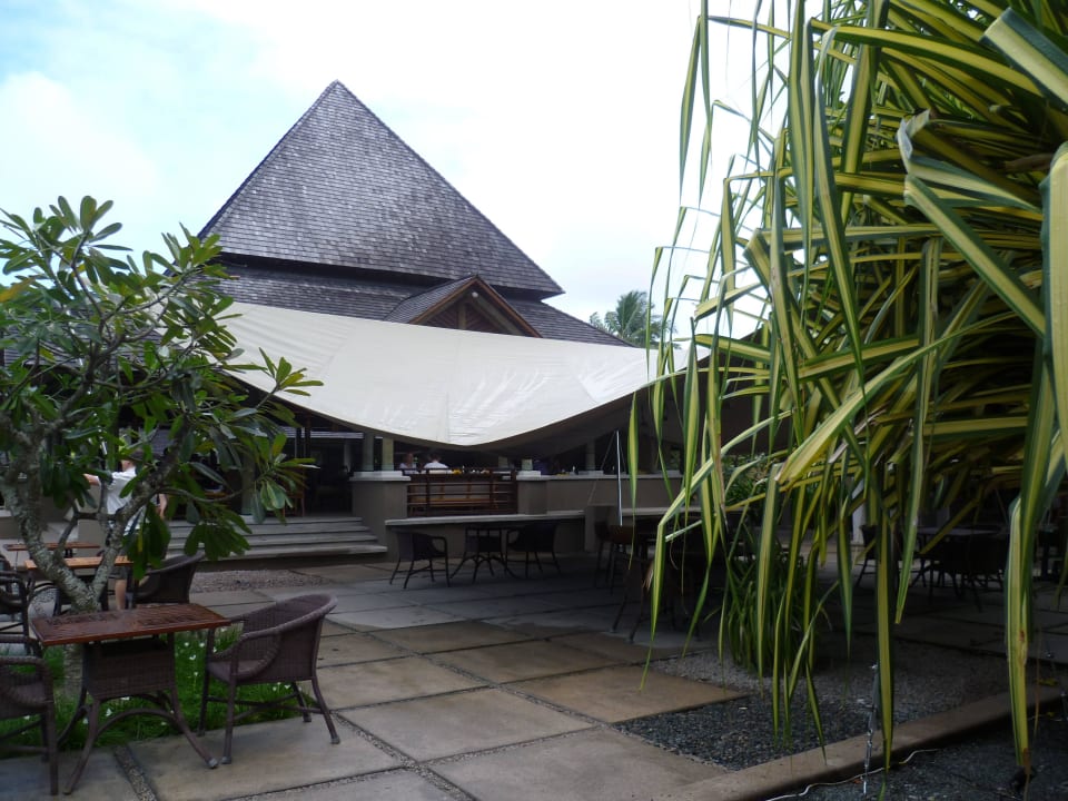 Garten Constance Ephelia