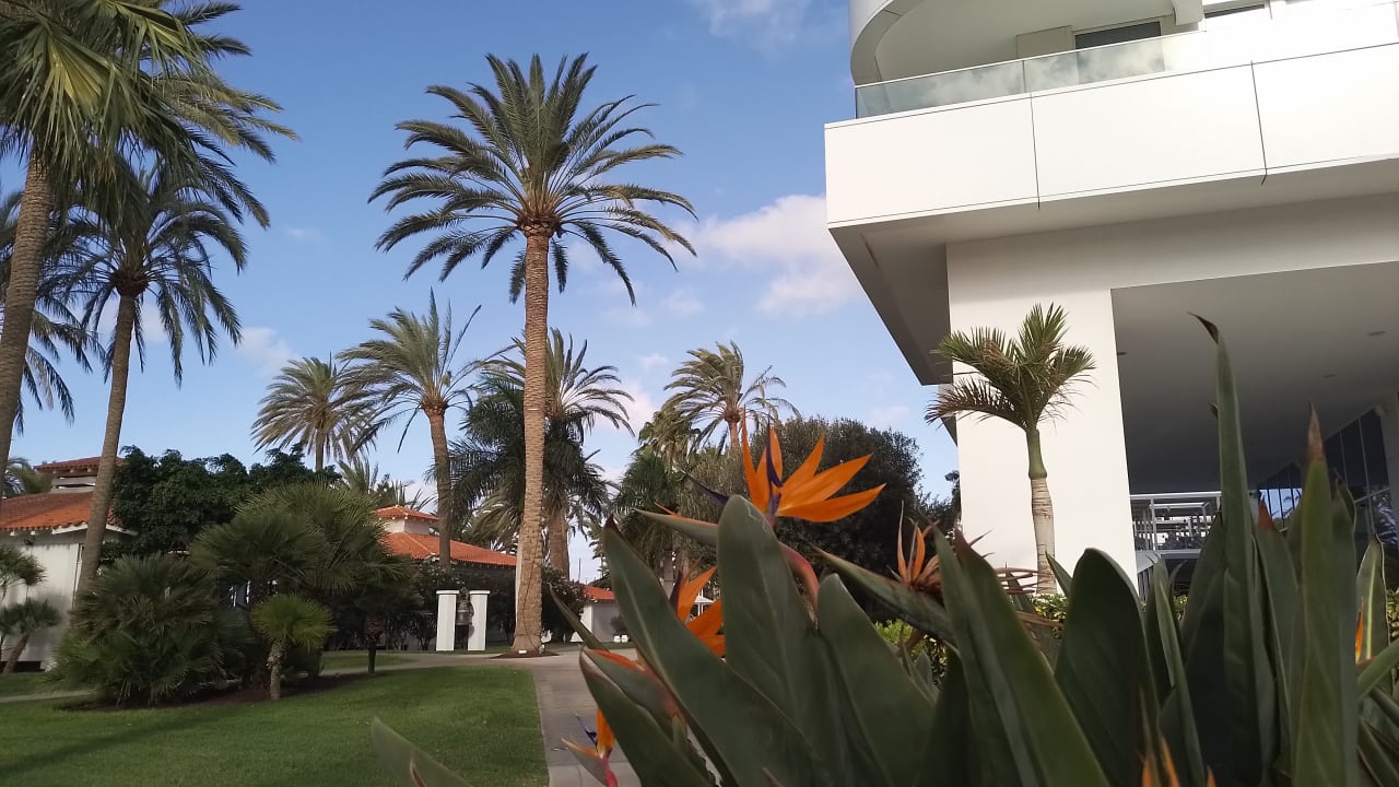 Gartenanlage ROBINSON JANDIA PLAYA