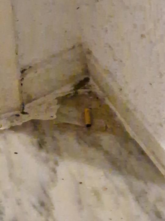 Zimmer Hotel El Mouradi Port El Kantaoui