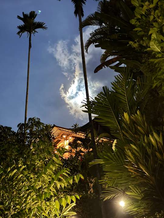 Ausblick Hotel The Royal Pita Maha