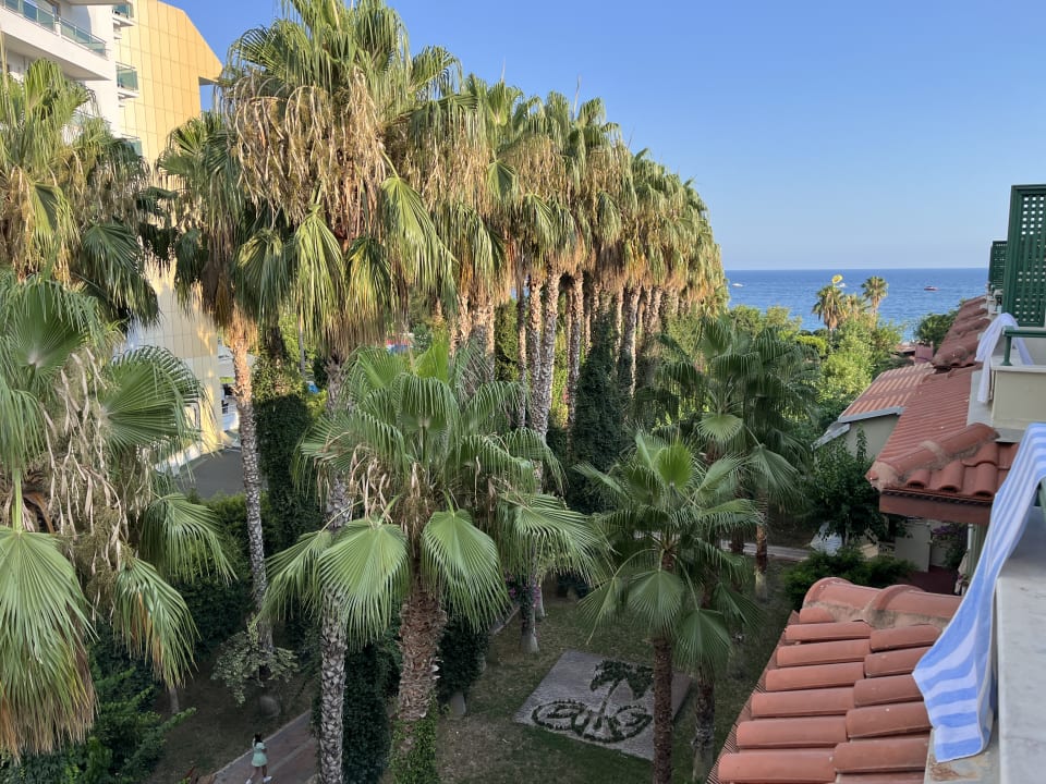 Gartenanlage Hotel Gardenia Beach