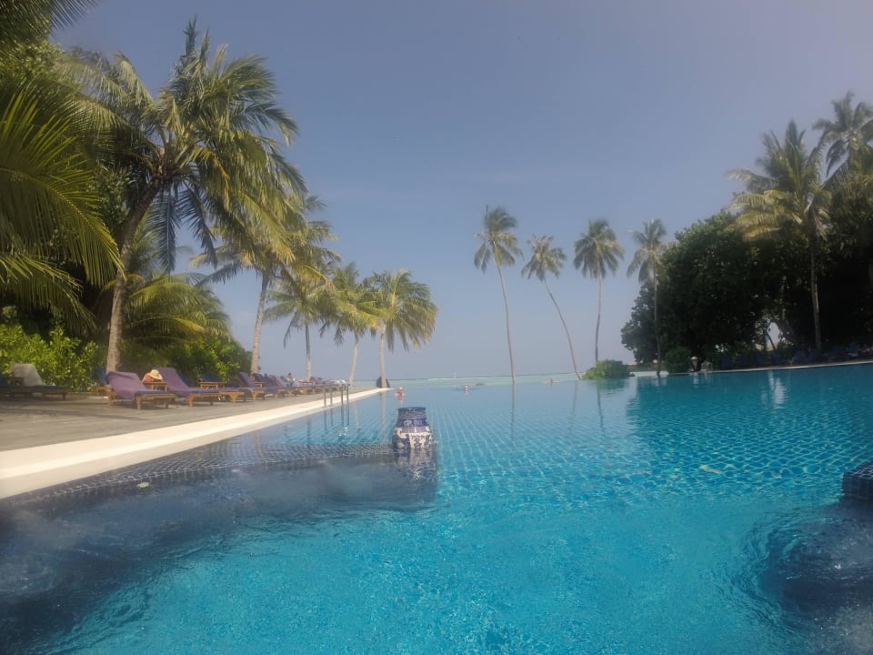 Für Erwachsene  Meeru Maldives Resort Island