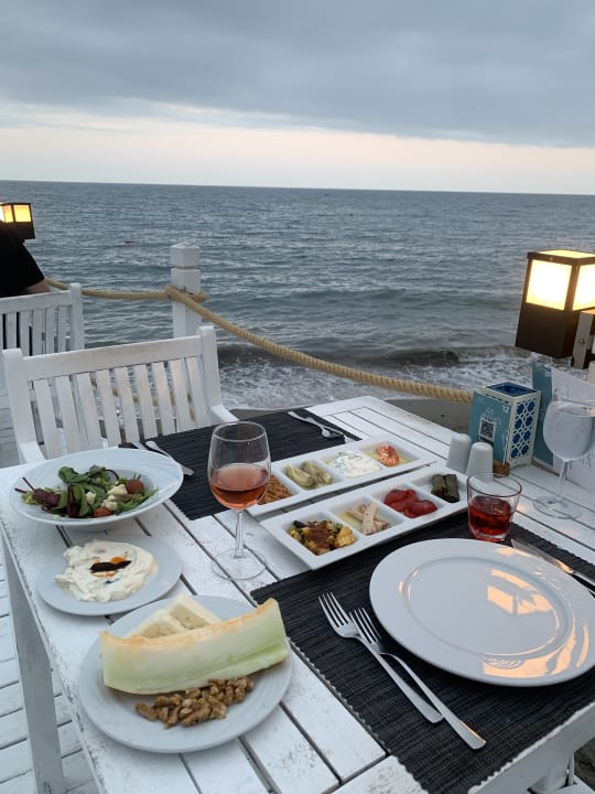 Gastro Balmy Foresta