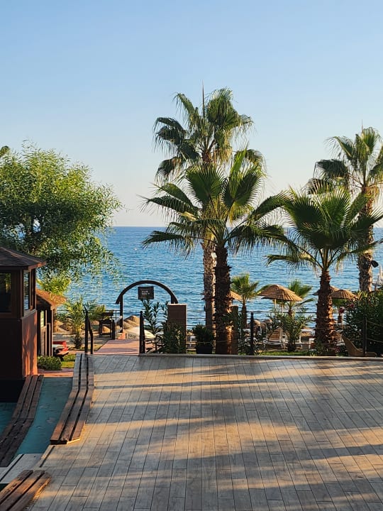 Strand Club Dizalya