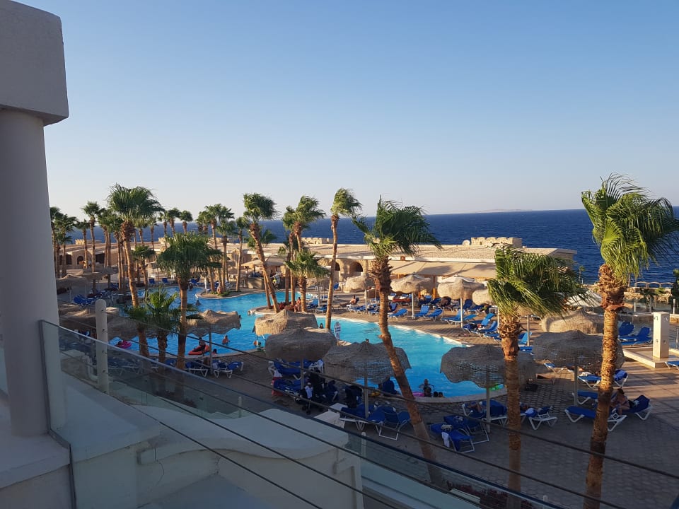 Zimmer Pickalbatros Citadel Resort