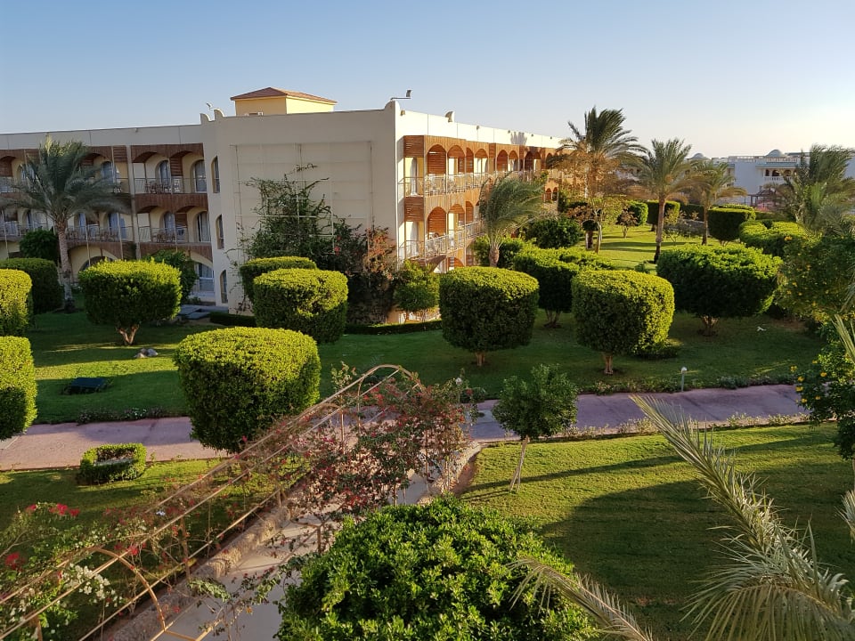 Außenansicht Desert Rose