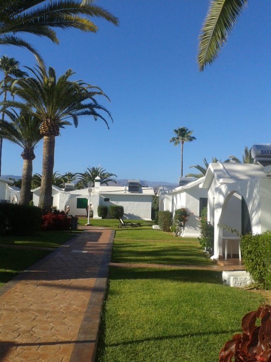 Canary Garden club Canary Garden Club