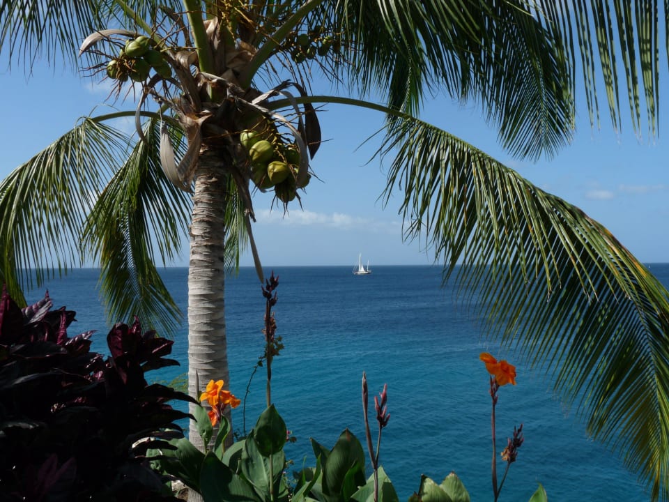 Ausblick von der unteren Terrasse Lagoon Ocean Resort