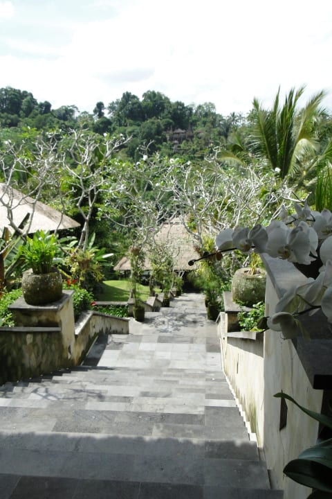 Treppe vom Hoteleingang runter zu den Villen Hanging Gardens of Bali