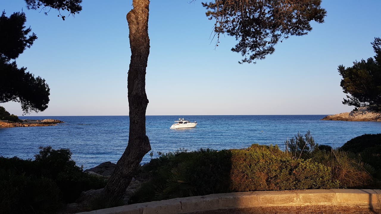 Ausblick Iberostar Waves Pinos Park