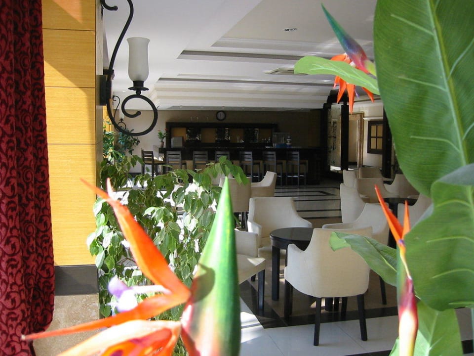 Bar Can Garden Resort