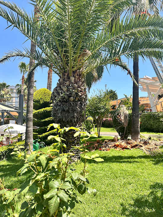 Gartenanlage Aydinbey Kings Palace & Spa