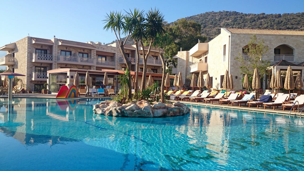 Cactus Royal Cactus Royal