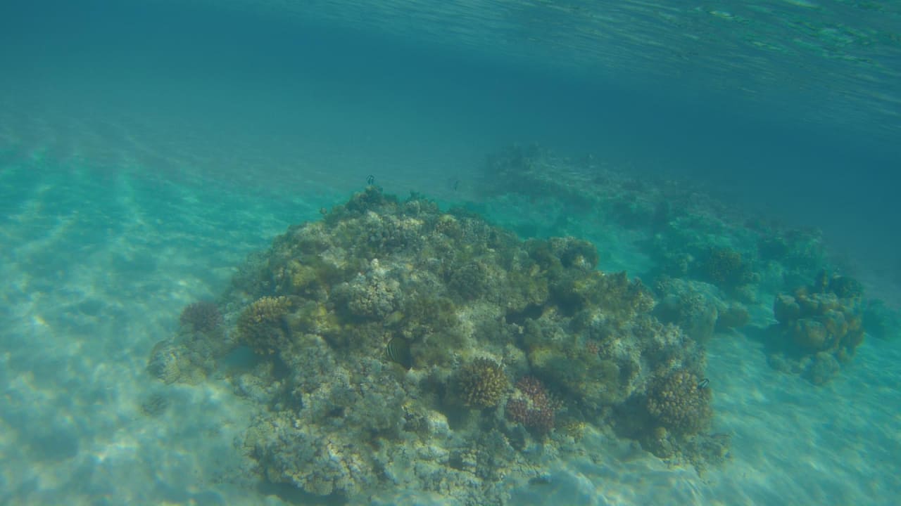 Sport & Freizeit Hotel Gorgonia Beach Resort