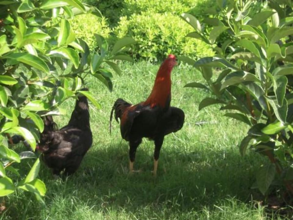 Der Herr des Hauses Seaden Sea World Resort & Spa