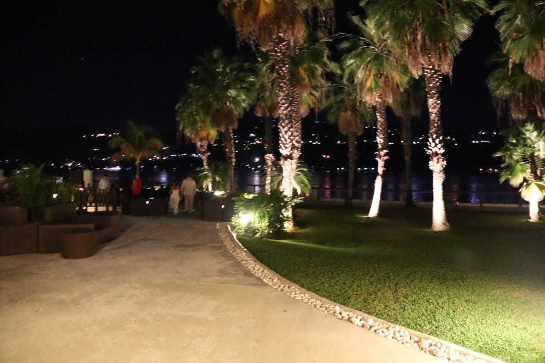 Weihnatliche Palmen Secrets St. James Montego Bay - Adults only