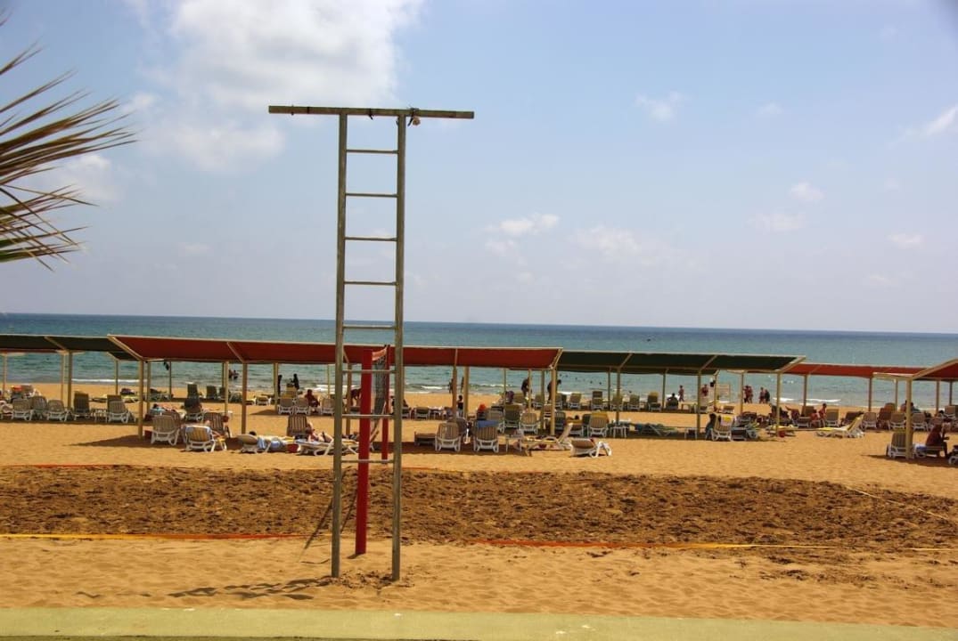 Vom 23.5. aufgenommen Kamelya Aishen Club