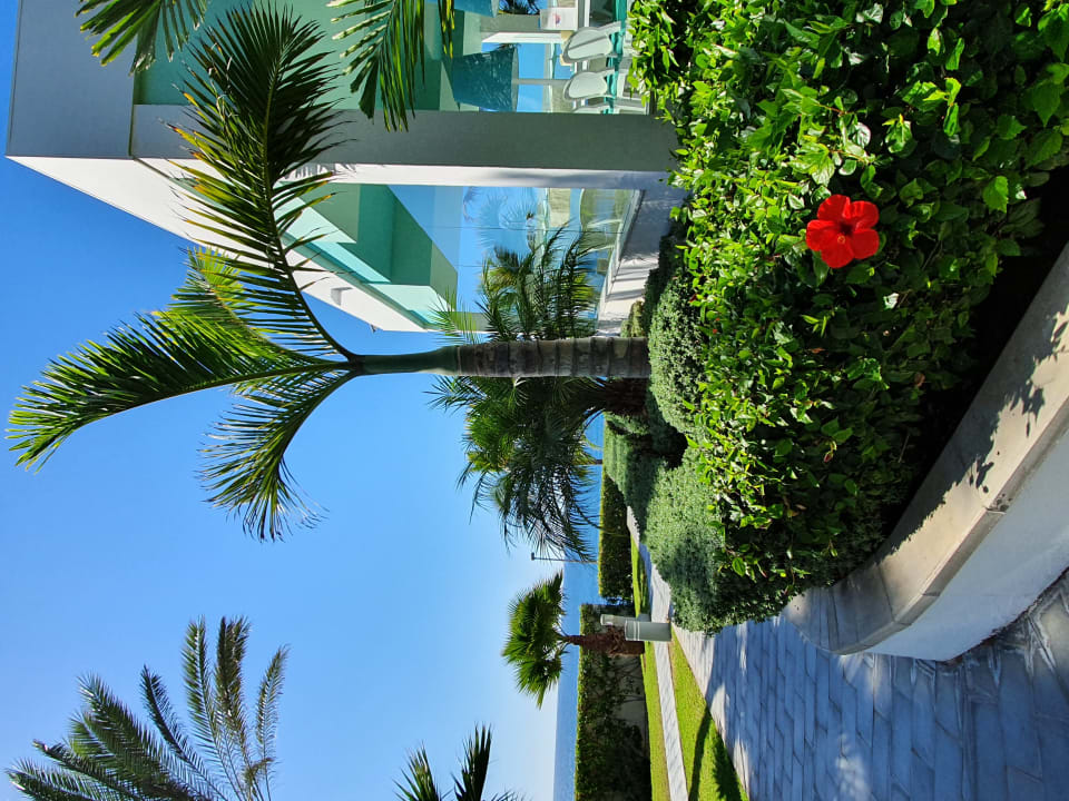 Außenansicht Hotel Riu Palace Meloneras