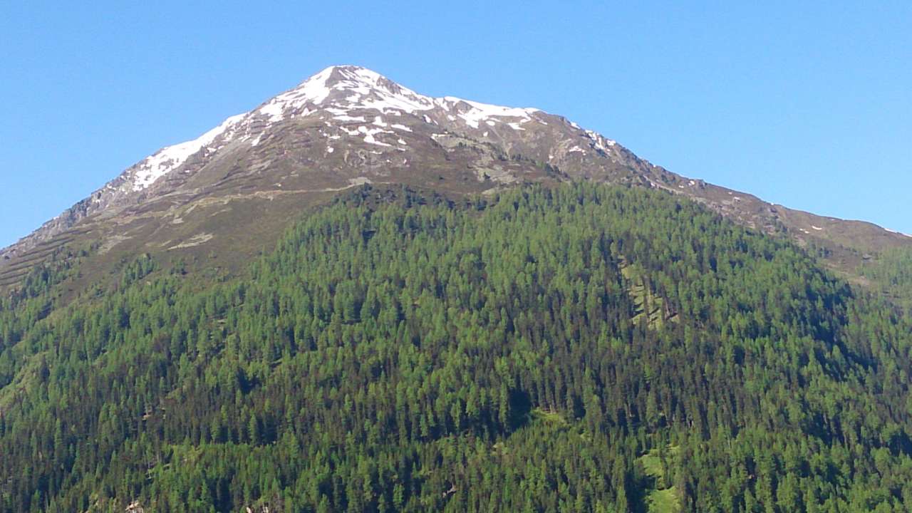 Blick in die Natur Wiesenhof