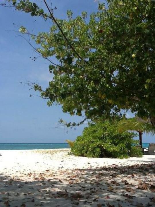 Kuredu Island Resort & Spa Kuredu Island Resort & Spa