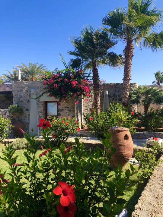 Zimmer Ikaros Beach Luxury Resort & Spa - Adults Only