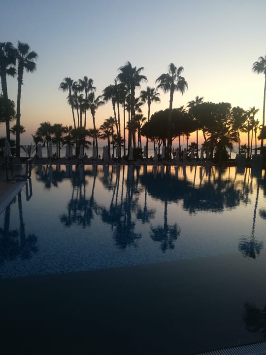 Pool Acanthus Cennet Barut Collection